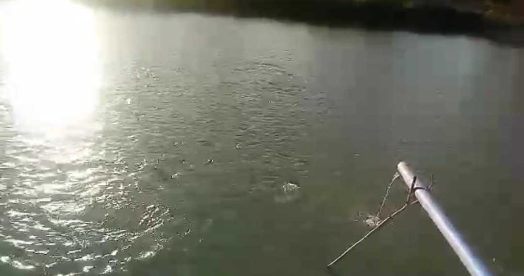 Prefeitura disponibiliza Bomba para Associação usar em represas de peixe